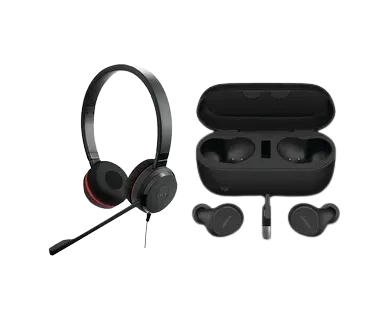 Headphones and Ear Buds